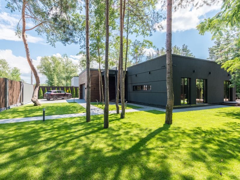 Mowed green lawn with tall trees in front of a modern house
